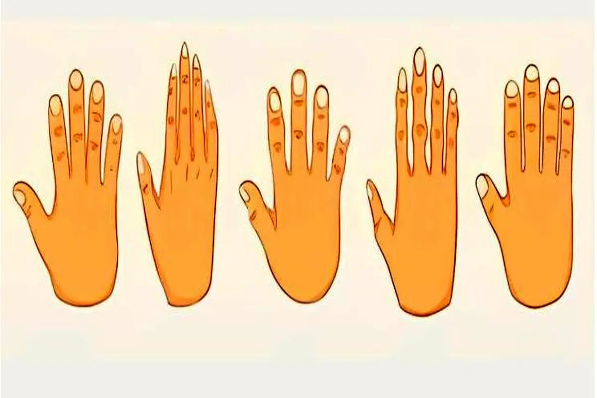 دستهای شما دروغ نمیگویند! ببینید شکل دستتان چه ویژگیهایی از شما را لو میدهد