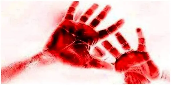 قتل وحشتناک مادربزرگ به خاطر سرقت ماشین