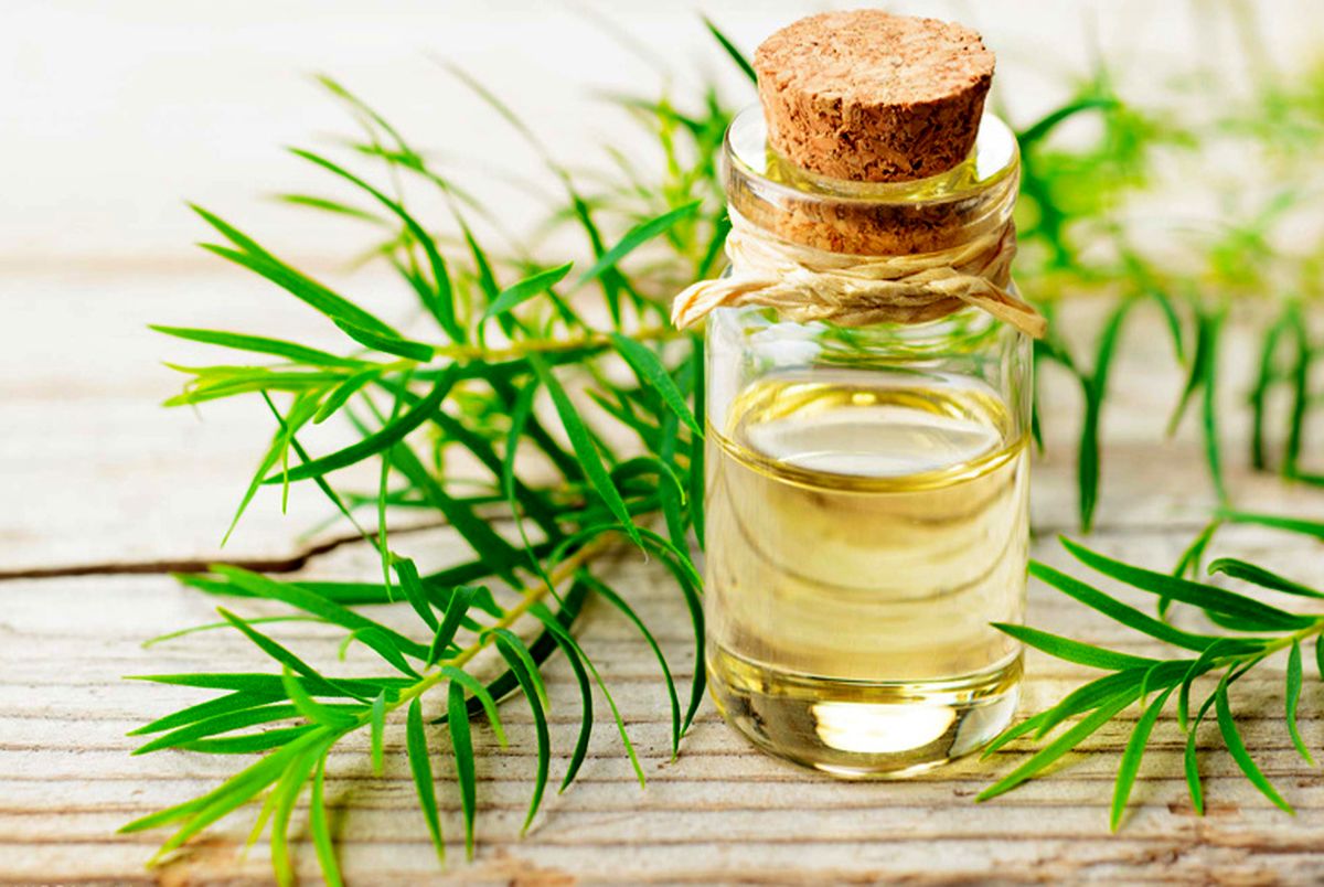 با این روغن‌ها پیر نمی‌شوید