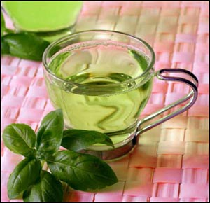فواید بیشمار چای سبز برای بدن | نحوه دم کردن صحیح چای سبز