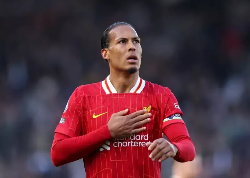 درآمد هنگفت فن‌دایک از کسب‌وکار متفاوتش!