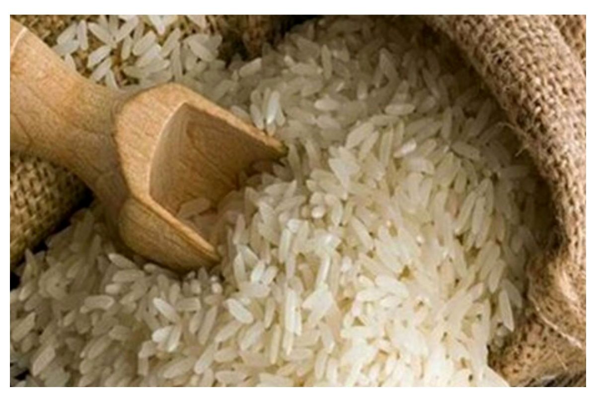 کشت برنج در این استان ممنوع شد