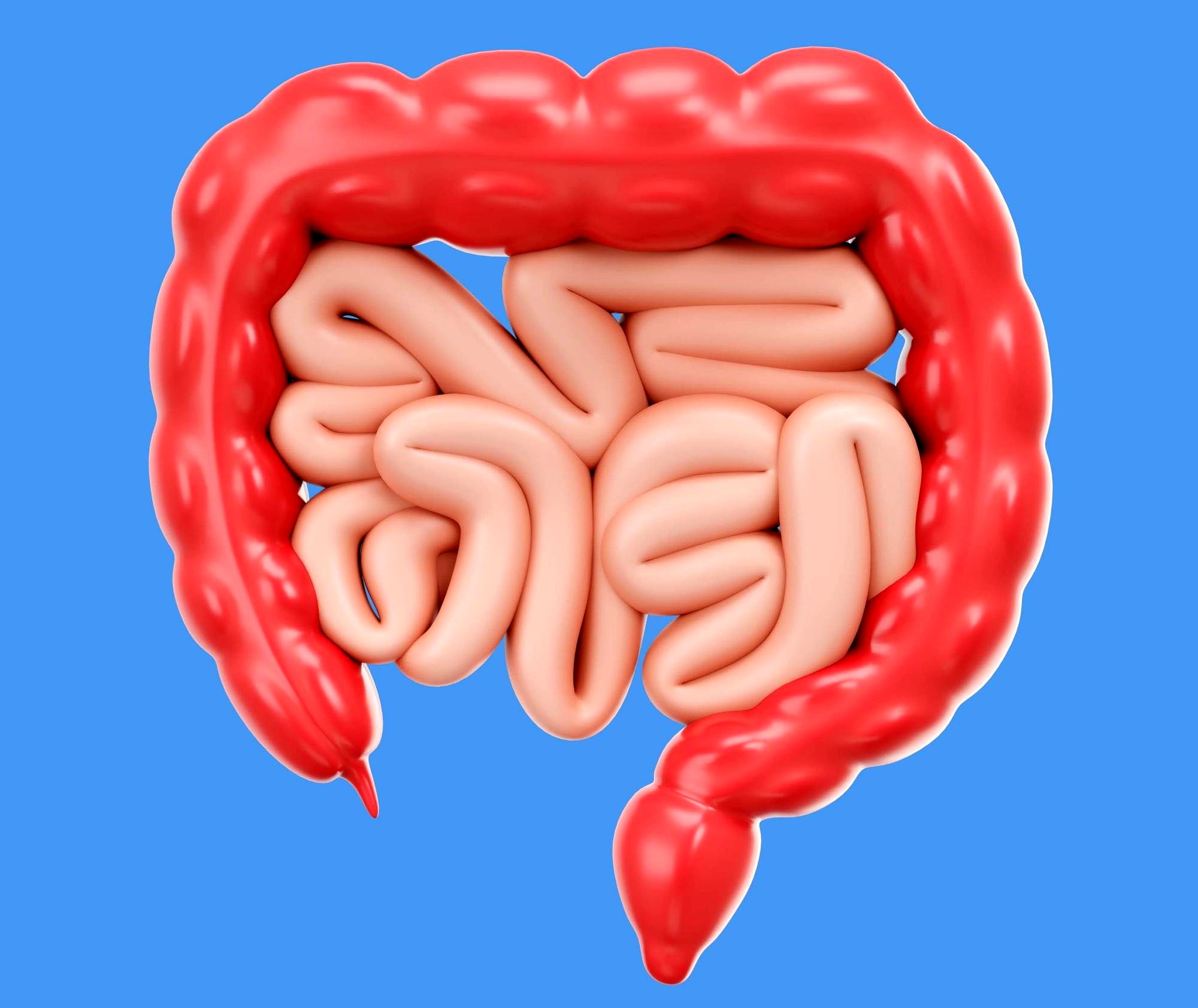 چگونه میکروبیوم روده را تقویت کنیم؟