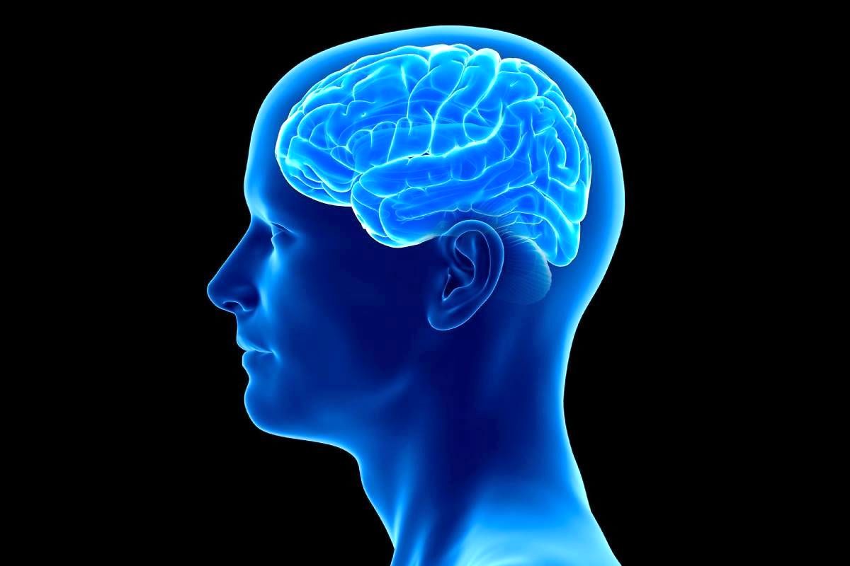 بعد از تشخیص بیماری آلزایمر چه باید کرد؟