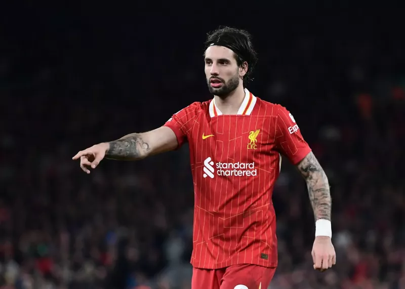 همه چیز در دست ماست، شاید فردا قهرمان شدیم