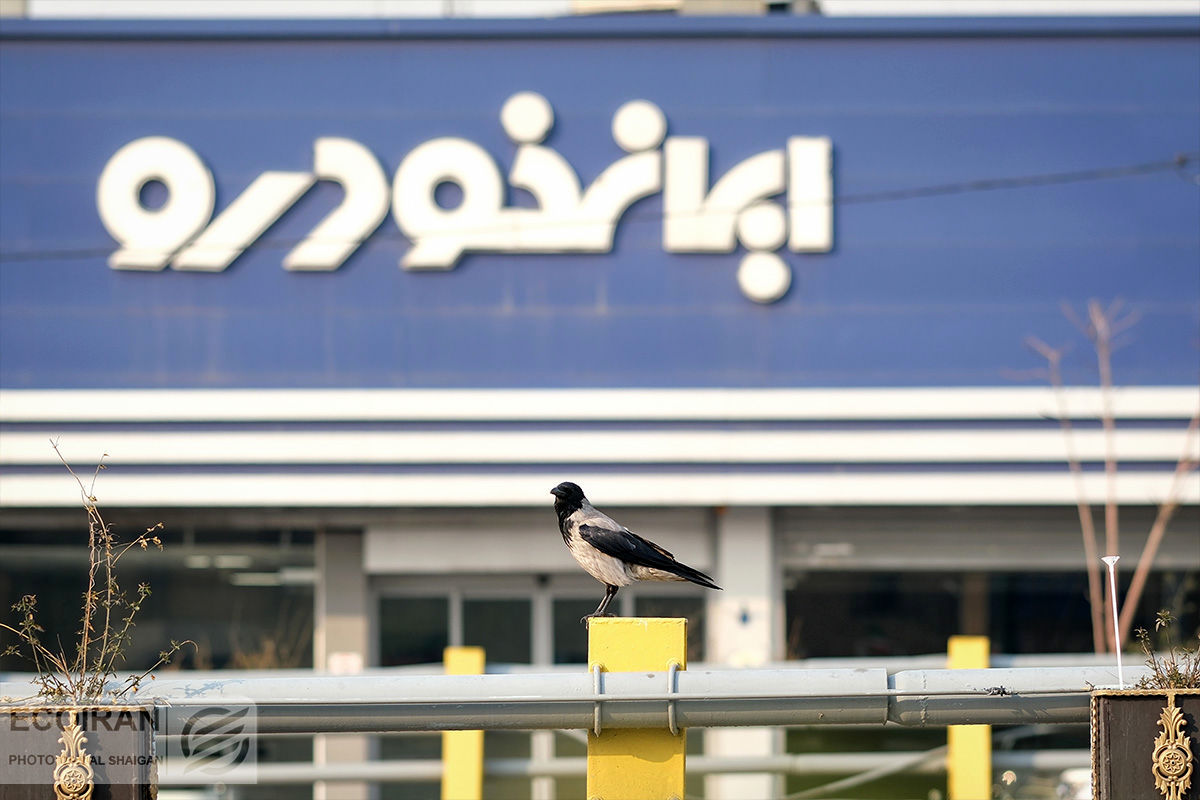 افزایش ۷۵۰ درصدی سرمایه ایران خودرو