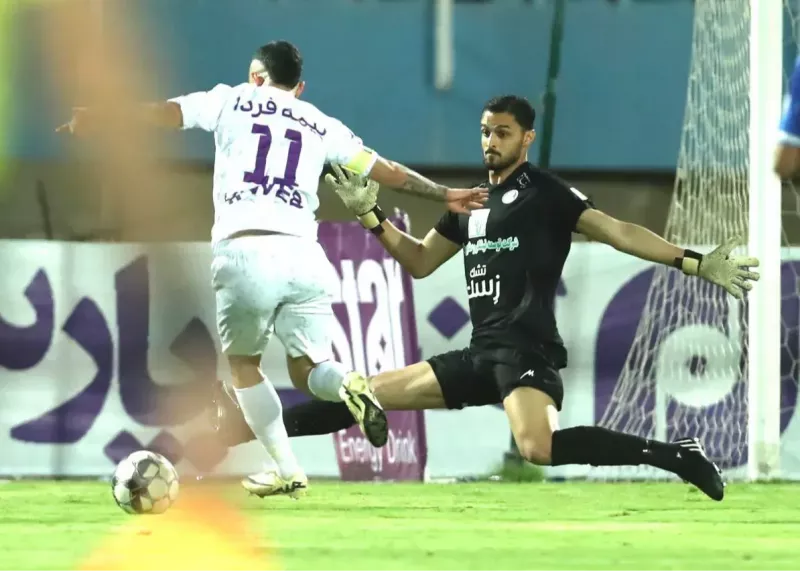 گوهری با سرعت خودش را رساند! (عکس)