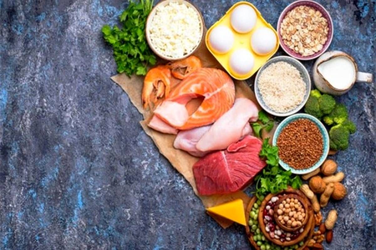 در این ساعت‌ها از روز پروتئین بیشتری بخورید