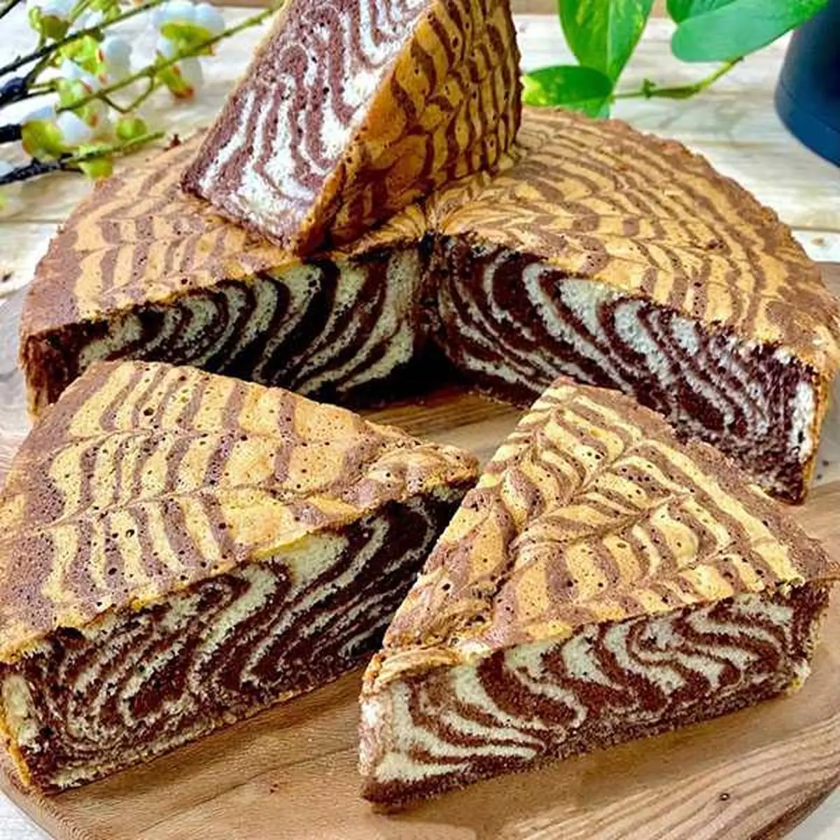 طرز تهیه کیک دو رنگ مناسب برای صبحانه