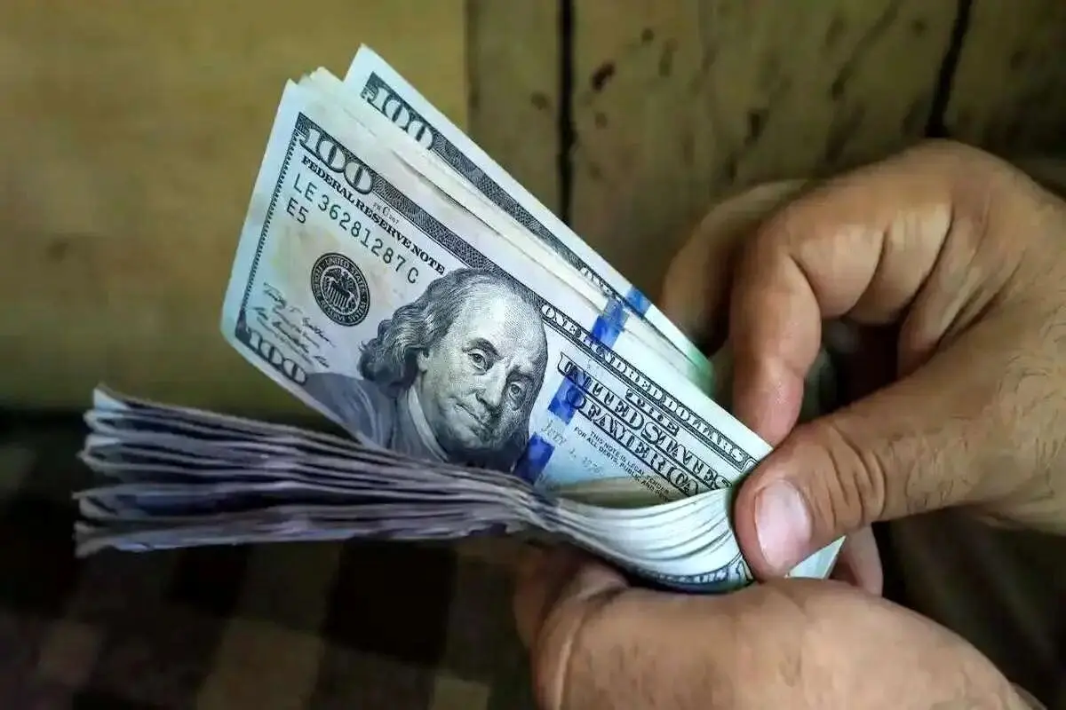 قیمت دلار امروز 24 اردیبهشت 1404 | قیمت دلار ثابت شد