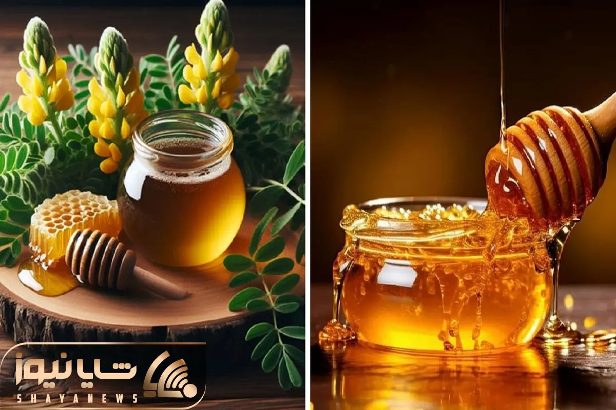 خواص و ضررهای عسل که ندونسته به بدن تزریق می کنیم / خوشمزه ی طلایی با تاثیرگذاری فول